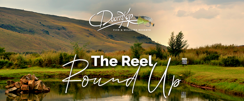 Doornkop - The Reel Roundup